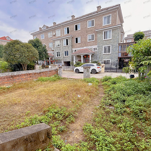 1709628681951720.jpg IMG_3689.jpg